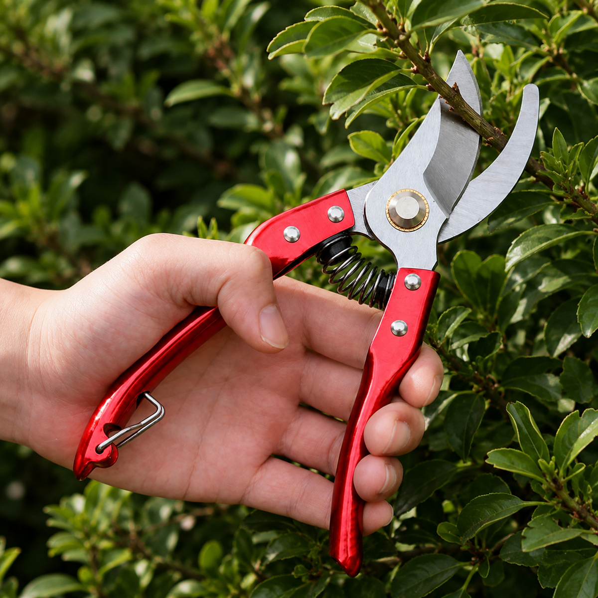 ✂️ Garden Pruning Shears | Metal Cutting Tool | Clean Garden Trimming