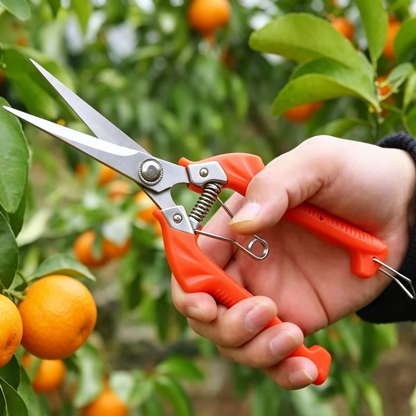 🍊 Fruit Picking Shears | Stainless Steel Blades | Precision Garden Harvesting