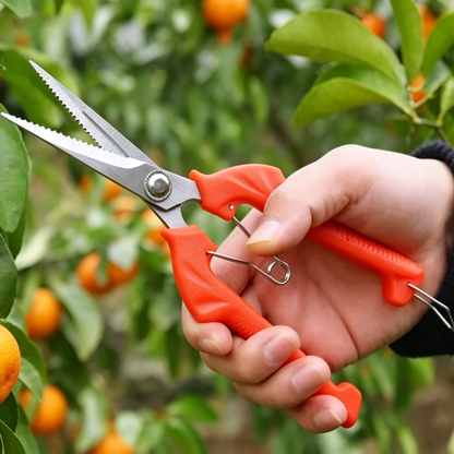 🍊 Fruit Picking Shears | Stainless Steel Blades | Precision Garden Harvesting