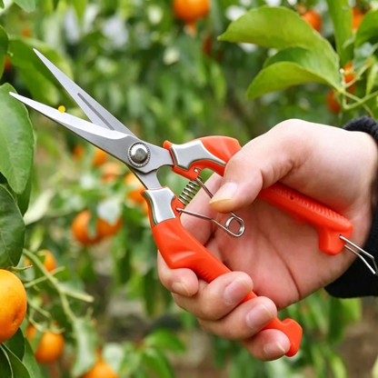 🍊 Fruit Picking Shears | Stainless Steel Blades | Precision Garden Harvesting