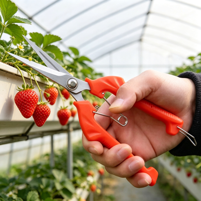 🍊 Fruit Picking Shears | Stainless Steel Blades | Precision Garden Harvesting
